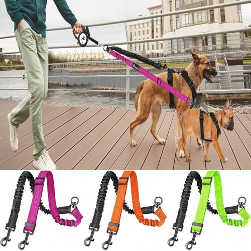 Double dog lead - double, splitter