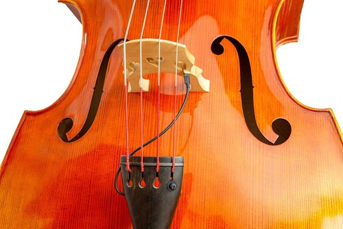 Kna double bass - kna, bridge