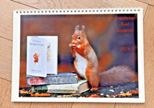 CUMBRIAN RED SQUIRRELS 2026 CALENDAR ALL PROFIT TO RED SQUIRREL CONSERVATION