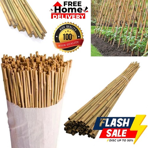 Professional bamboo canes - professional,