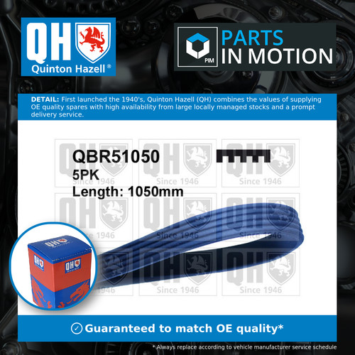 Rib multi drive belt fits - multi,