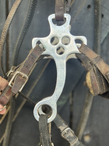 Hackamore