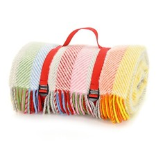 Picnic Rug The Meadow Rainbow Grey Stripe Soft, Waterproof Easy to Carry Throw