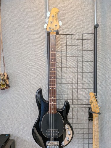 Ernie ball music - man, stingray