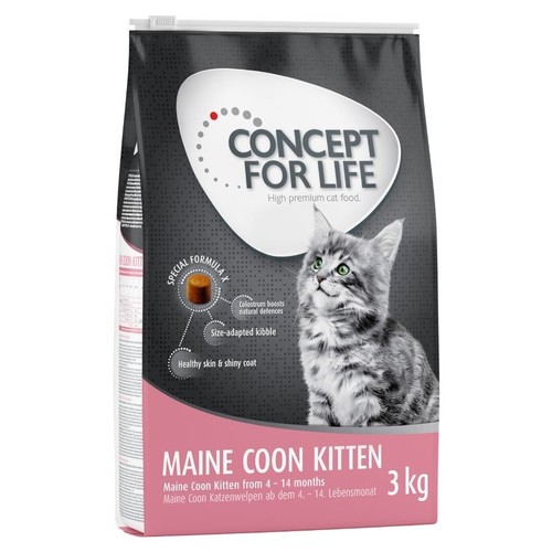 Concept for life maine coon - concept,