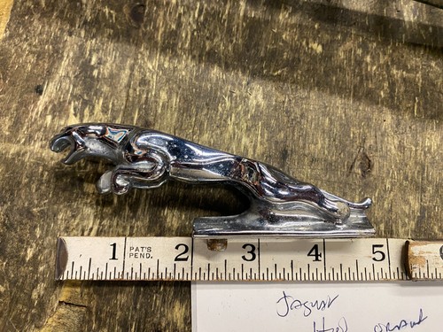 Leaping jaguar chrome bonnet - jaguar,