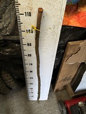 Blackthorn SHANK WALKING STICK