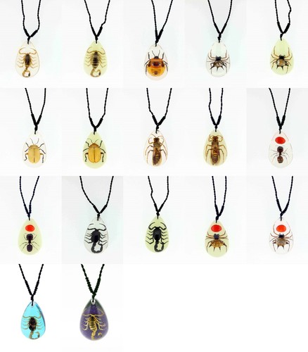 Real insect medium pendant - real,