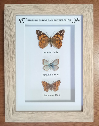 Framed real british - real,