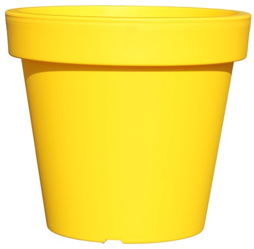 Planters pride aura 5cm - aura, 47.5cm