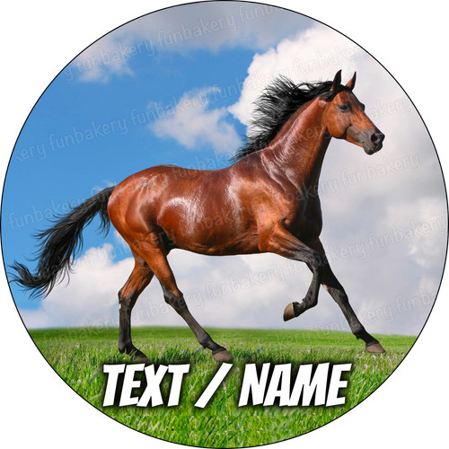 Horse pony cake - pony, party