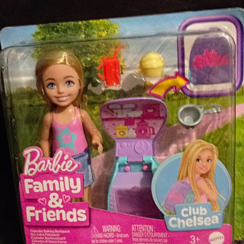Barbie family friends picnic - family,