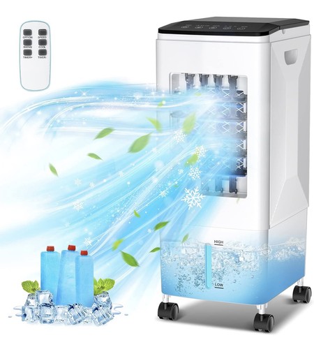 Portable cooler air - cooler,