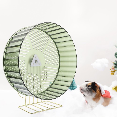 Daily use hamster wheel - daily,