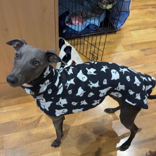 Ghost halloween fleece - ghost,