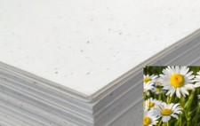 Seeded Craft Paper 10 Sheets A4 Size Daisy Seeds 200GSM Cardmaking Plantable ECO