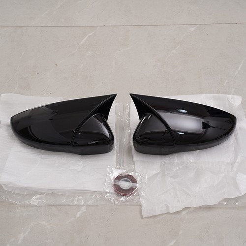 Gloss black door - gloss, wing