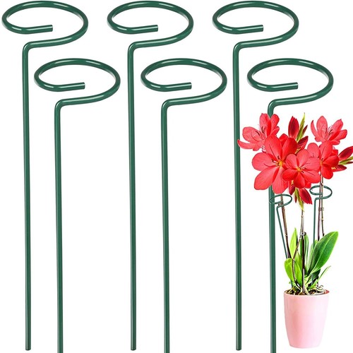 Garden single stem - stem, support