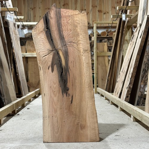 Holm oak plank board waney - oak,