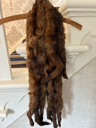 Vintage genuine fox - genuine, fur