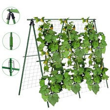 4x4ft Climbing Plant Support