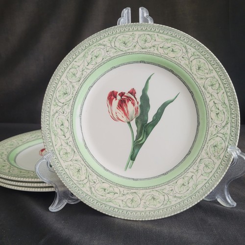 Set royal horticultural - 4,