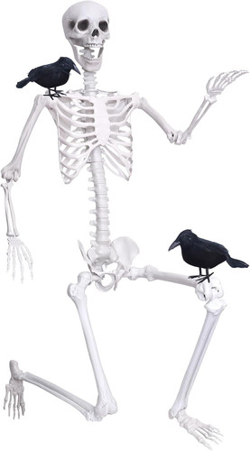 6ft life size skeleton posable - 6ft,