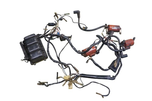 Kawasaki ignition boxes - h2,