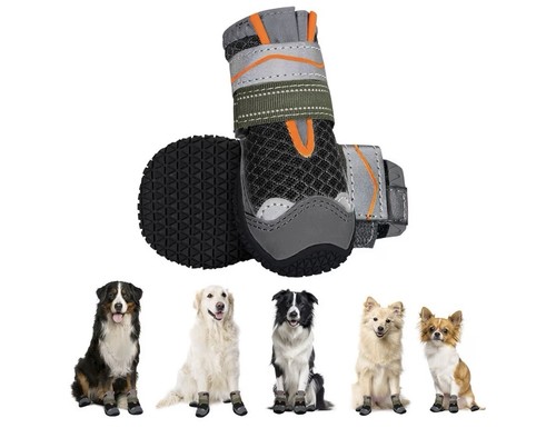 Eyein paw protector dog - paw,