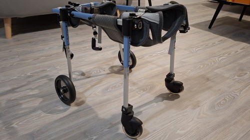 Wheel adjustable dog - wheel,