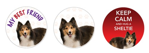 Sheltie dog car van - dog,