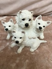 West Highland Terrier Mother