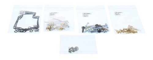 Carburetor rebuild kit - rebuild,