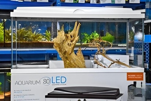 Brand new large glass - brand,