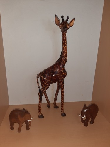 African kenya giraffe and - african,
