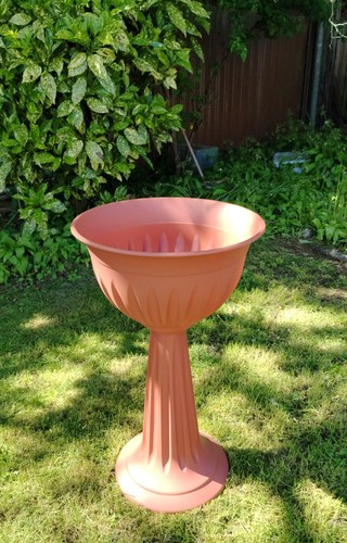 Olympus urn plant pot - plant, outdoor