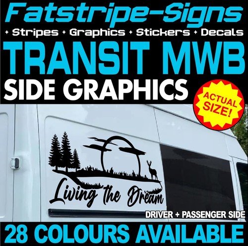 Fits ford transit - fits, graphics