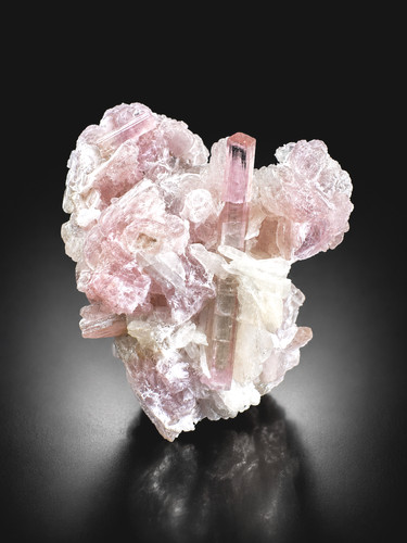Terminated baby pink - baby,