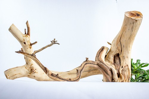 Manzanita aquarium driftwood - manzanita,