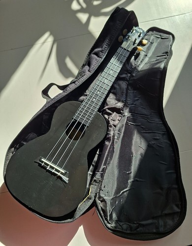 Black korala polycarbonate - black,