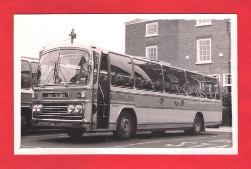 Coach photo bee line of - -,