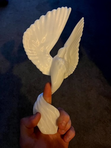 White dove printed - white,