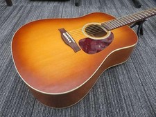 SEAGULL Entourage Rustic