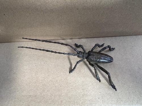 Japanese bronze longhorn - bronze,
