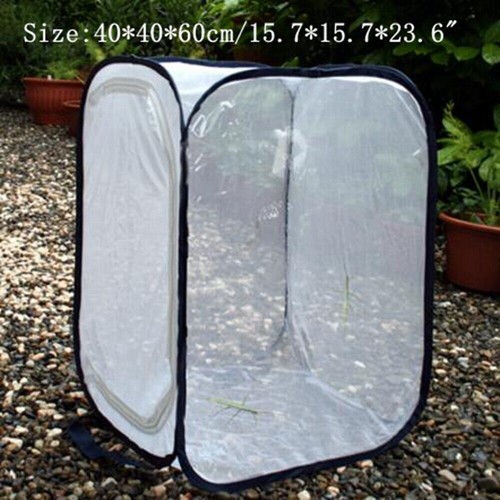 Mantis stick small - mantis,