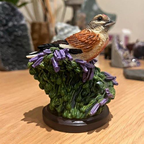 The country bird - country, collection