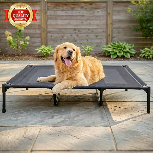 Elevated dog bed - bed, for