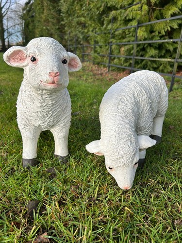 Resin sheep ornaments lamb - sheep,