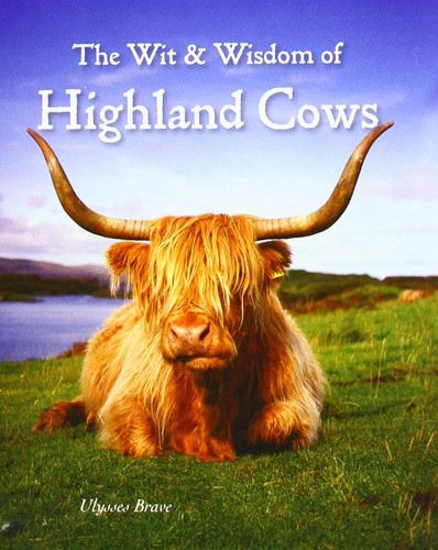 Wit wisdom highland cows - &,