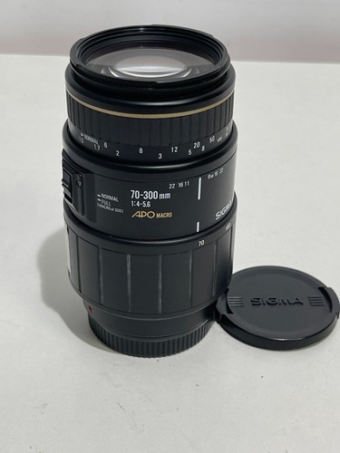 Sigma 300mm 6 - sigma, macro